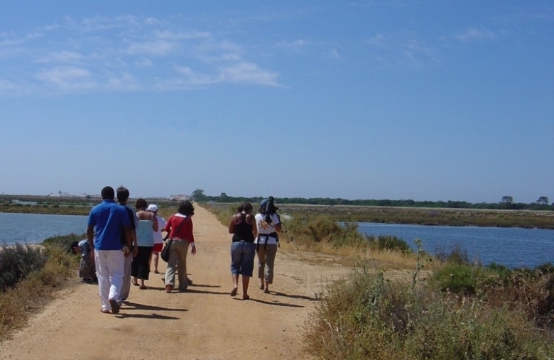 Walking Tour in the Ria Formosa - Eco Tourism