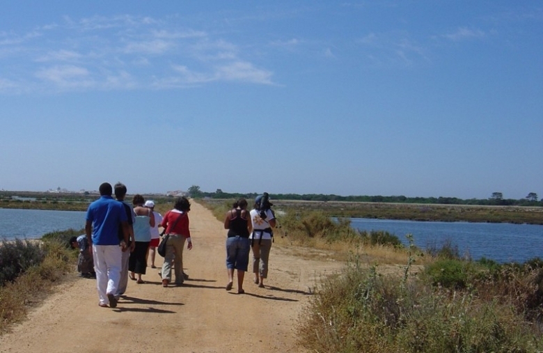 Walking Tour in the Ria Formosa - Eco Tourism - Faro