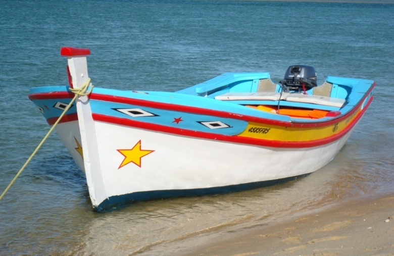Traditional Boat Trip on The Ria Formosa - Algarve Boat Trips