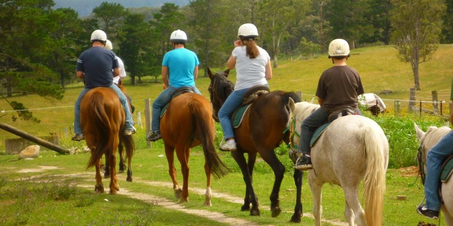 Nature Tours Algarve - Eco Tourism - Lagos Activities